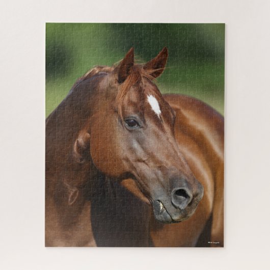 Bob Langrish Chestnut Quarter Horse Mare Headshot Legpuzzel (Verticaal)