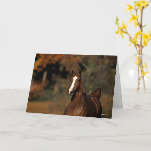 Bob Langrish | Chestnut Thoroughbred Headshot Kaart (Gele Bloem)