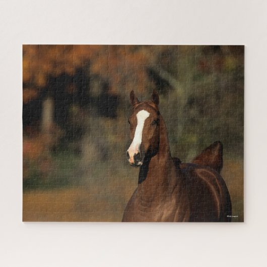 Bob Langrish | Chestnut Thoroughbred Headshot Legpuzzel (Horizontaal)