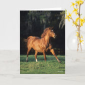 Bob Langrish | Chestnut Warmbloed Mare Running Kaart (Gele Bloem)