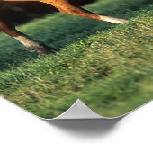 Bob Langrish | Chestnut Warmbloed Mare Running Poster (Hoek)