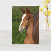 Bob Langrish | Chestnut Warmblood Foal Headshot Kaart (Gele Bloem)