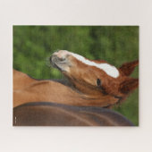 Bob Langrish | Chestnut Warmblood Foal Headshot Legpuzzel (Horizontaal)