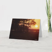 Bob Langrish | Chincoteague Grazing Sunset Kaart (Voorkant)