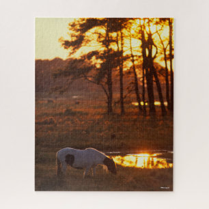 Bob Langrish Chincoteague Horse Grazing at Sunset Legpuzzel