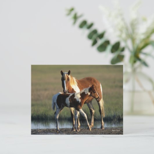 Bob Langrish | Chincoteague Mare and Foal Standing Briefkaart (Staand voorkant)