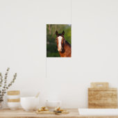 Bob Langrish | Clydesdale headshot Poster (Keuken)