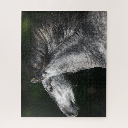 Bob Langrish | Dapple Gray Andalucian headshot Legpuzzel (Verticaal)