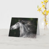 Bob Langrish | Dapple Grey Andalucian headshot Kaart (Gele Bloem)