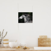 Bob Langrish | Dapple Grey Andalucian headshot Poster (Keuken)