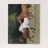 Bob Langrish | Drie Arabische paarden die samenlev Legpuzzel (Verticaal)