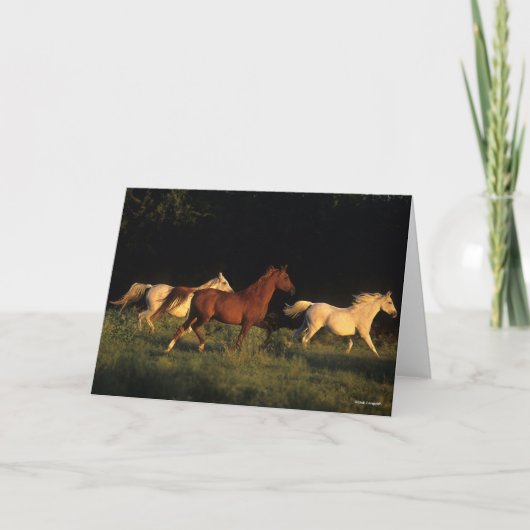 Bob Langrish Drie Arabs die 's avonds licht rondre Kaart (Voorkant)