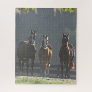 Bob Langrish Drie kwart van de jongere paarden Legpuzzel