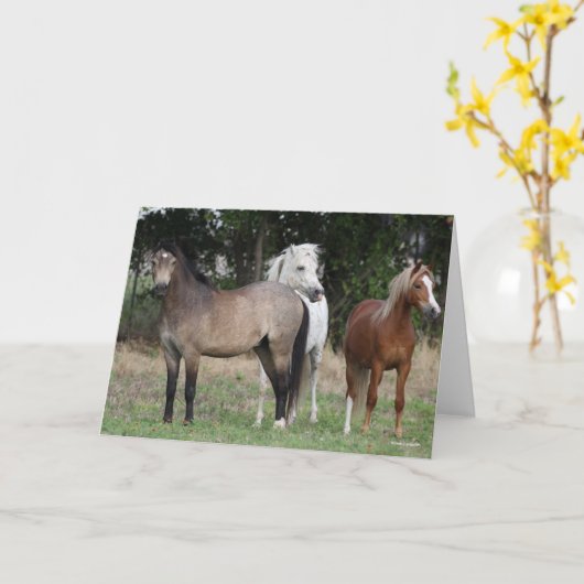 Bob Langrish | Drie pony's die met elkaar samenwer Kaart (Gele Bloem)