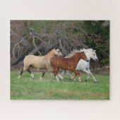 Bob Langrish | Drie pony's die samenwerken Legpuzzel (Horizontaal)