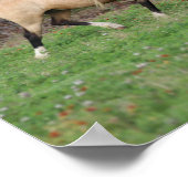 Bob Langrish | Drie pony's die samenwerken Poster (Hoek)