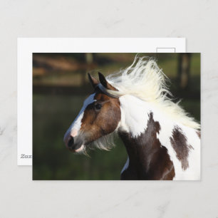 Bob Langrish   Drum Horse Headshot Briefkaart