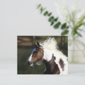 Bob Langrish | Drum Horse Headshot Briefkaart (Staand voorkant)