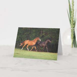 Bob Langrish   Duitse Pony en Oldenburg Kaart