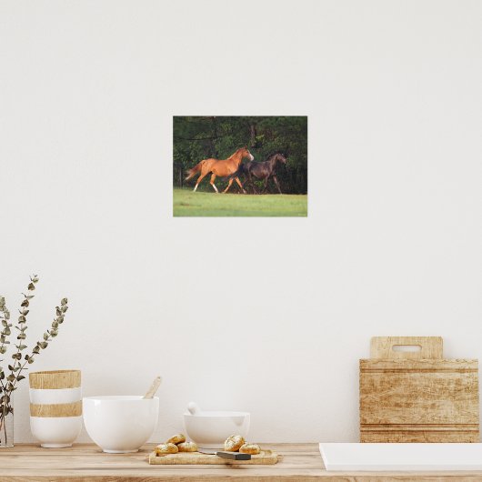 Bob Langrish | Duitse Pony en Oldenburg Poster (Keuken)