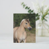 Bob Langrish | Fjord Horse Standing Headshot Briefkaart (Staand voorkant)