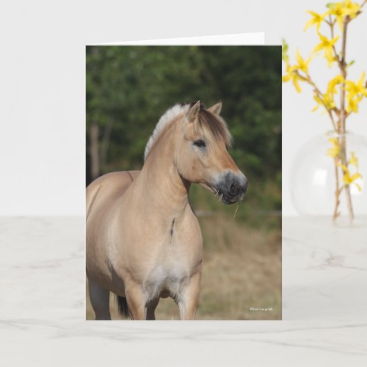 Bob Langrish | Fjord Horse Standing Headshot Kaart (Gele Bloem)