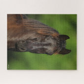 Bob Langrish | Friesian Horse Headshot Legpuzzel (Horizontaal)