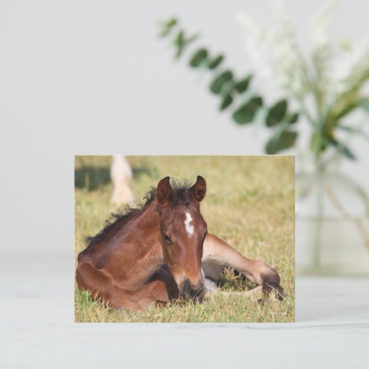 Bob Langrish | Gewapend raaigras Briefkaart (Staand voorkant)