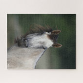 Bob Langrish | Grauwe kwartpaarden — kop Legpuzzel (Horizontaal)