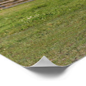 Bob Langrish | Gray Andalucian Stallion Leaping Poster (Hoek)