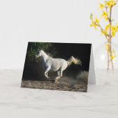 Bob Langrish | Gray Arab Mare Running Kaart (Gele Bloem)