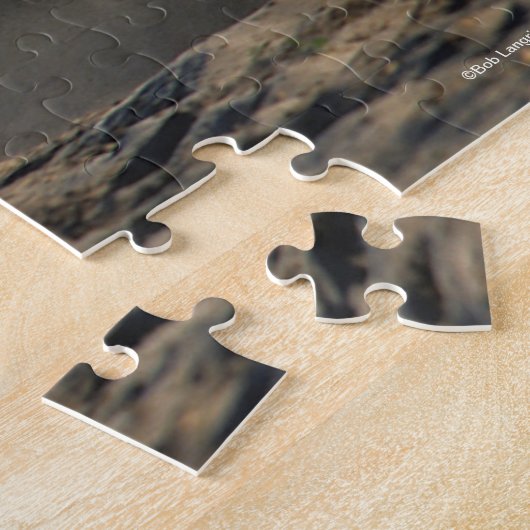 Bob Langrish | Gray Arab Mare Running Legpuzzel (Zijkant)