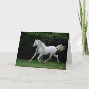 Bob Langrish   Gray Arab Running Kaart