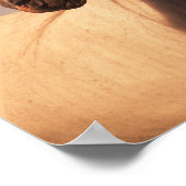 Bob Langrish | Gray Arab Stallion Headshot 4 Poster (Hoek)