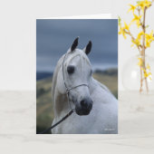 Bob Langrish | Gray Arab Stallion Headshot Kaart (Gele Bloem)