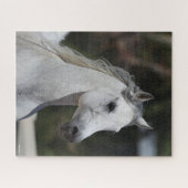 Bob Langrish | Gray Arab Stallion Headshot Legpuzzel (Horizontaal)