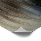 Bob Langrish | Gray Arab Stallion Headshot Poster (Hoek)