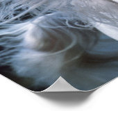 Bob Langrish | Gray Arab Stallion Headshot Poster (Hoek)