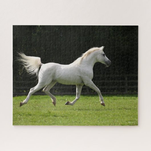 Bob Langrish | Gray Arab Stallion Runing Legpuzzel (Horizontaal)