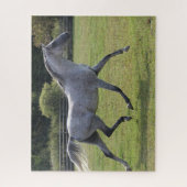 Bob Langrish | Gray Arab Stallion Runlit Legpuzzel (Verticaal)