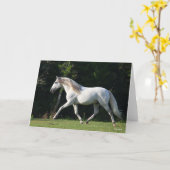 Bob Langrish | Gray Lusitano Stallion Kaart (Gele Bloem)