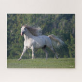 Bob Langrish | Gray Lusitano Stallion Running Legpuzzel (Horizontaal)