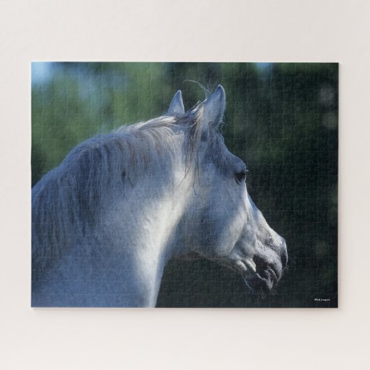 Bob Langrish | Gray Trakehner Stallion Headshot Legpuzzel (Horizontaal)