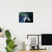 Bob Langrish | Gray Trakehner Stallion Headshot Poster (Thuiskantoor)