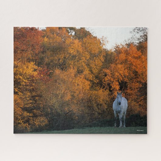 Bob Langrish Gray Warmblood Horse Standing Autumn Legpuzzel (Horizontaal)