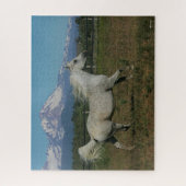 Bob Langrish Grey Arab Running Mountain Background Legpuzzel (Verticaal)