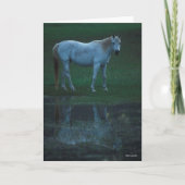 Bob Langrish Grey Arab Standing By Pond Reflection Kaart (Voorkant)