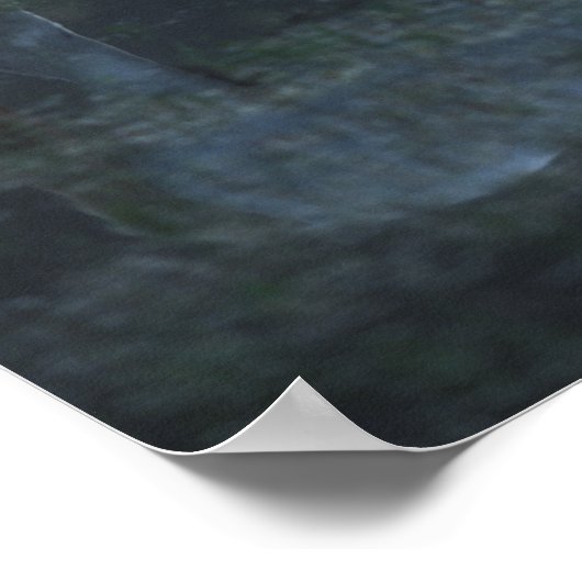 Bob Langrish Grey Arab Standing by Pond Reflection Poster (Hoek)