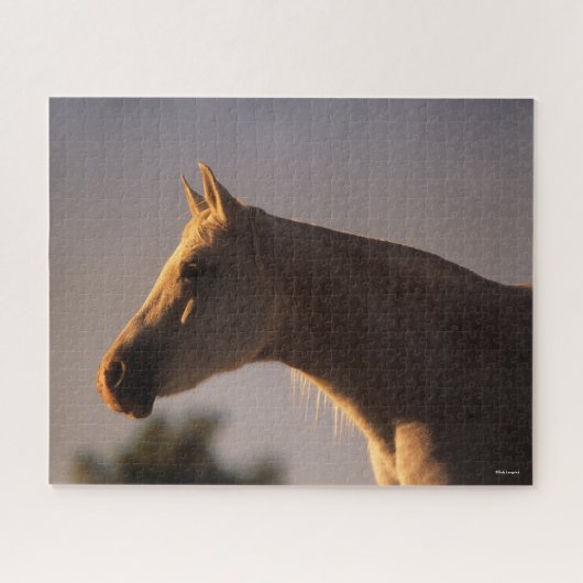 Bob Langrish | Grijs Arabisch, vast hoofdscherm me Legpuzzel (Horizontaal)