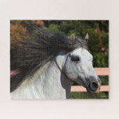 Bob Langrish | Grijze Andalucian Stallion Headshot Legpuzzel (Horizontaal)